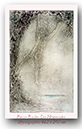RocheGypsographie1